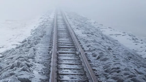 日本で大雪