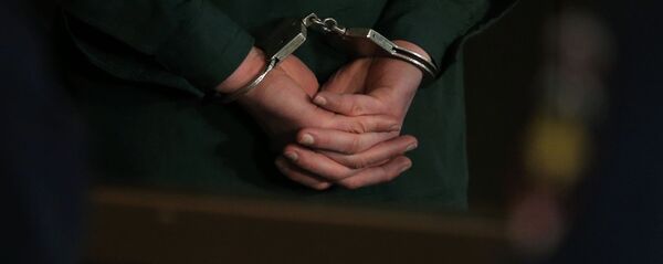 逮捕 逮捕 - Sputnik 日本