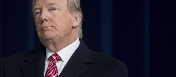 Президент США Дональд Трамп - Sputnik 日本