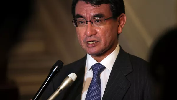 河野太郎外相 - Sputnik 日本