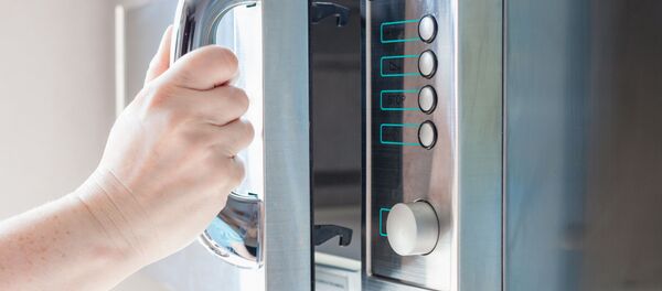 Микроволновая печь - Sputnik 日本