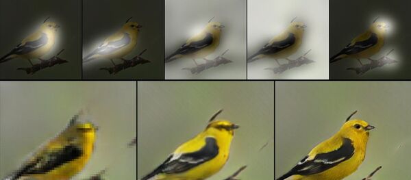 Пример создания изображения нейросети AttnGAN по текстовому описанию - Sputnik 日本