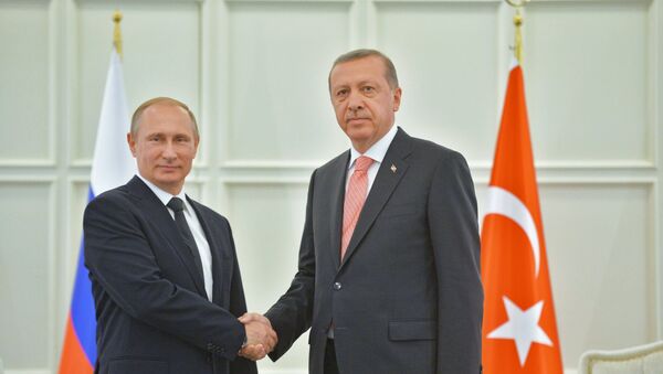 ロシアのプーチン大統領とトルコのエルドアン大統領 - Sputnik 日本