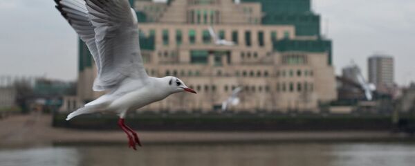 英情報機関 スノーデン事件のあと複数の国から職員を呼び返す 英情報機関 スノーデン事件のあと複数の国から職員を呼び返す - Sputnik 日本