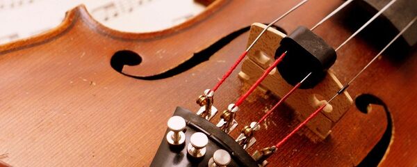 バイオリン バイオリン - Sputnik 日本