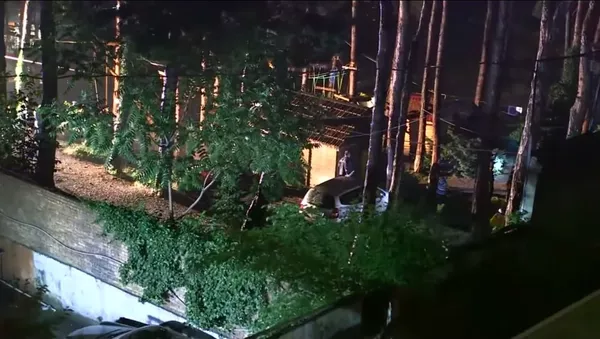グルジア　夜の悪夢：町が猛獣であふれる - Sputnik 日本