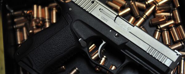 ピストル ピストル - Sputnik 日本