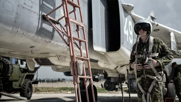 戦闘員によるアレッポへの攻撃発射地域の標的は全てロシア空軍の空爆で殲滅＝国防省 - Sputnik 日本