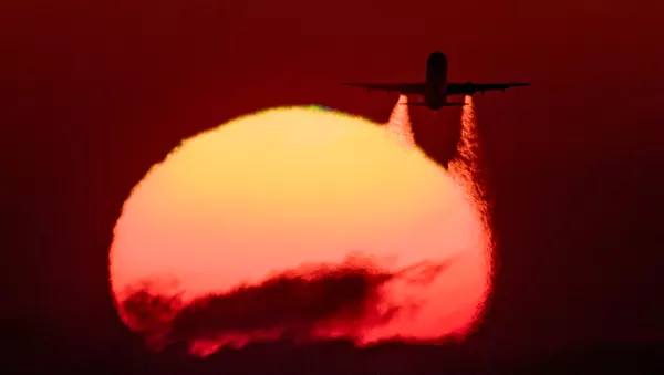 エアバス321、ホノルル空港に緊急着陸　7名が病院搬送【動画】 - Sputnik 日本