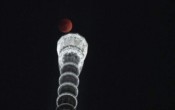 東京のスカイツリーをバックにした満月 - Sputnik 日本