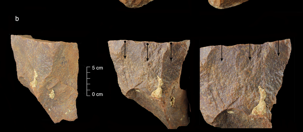 道具 道具 - Sputnik 日本