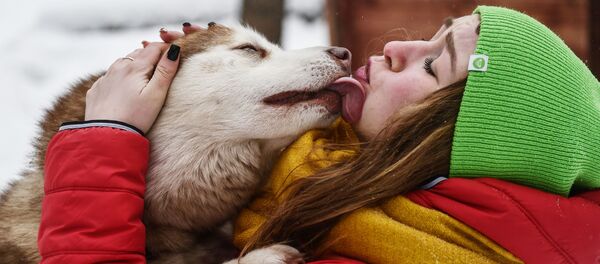犬 犬 - Sputnik 日本