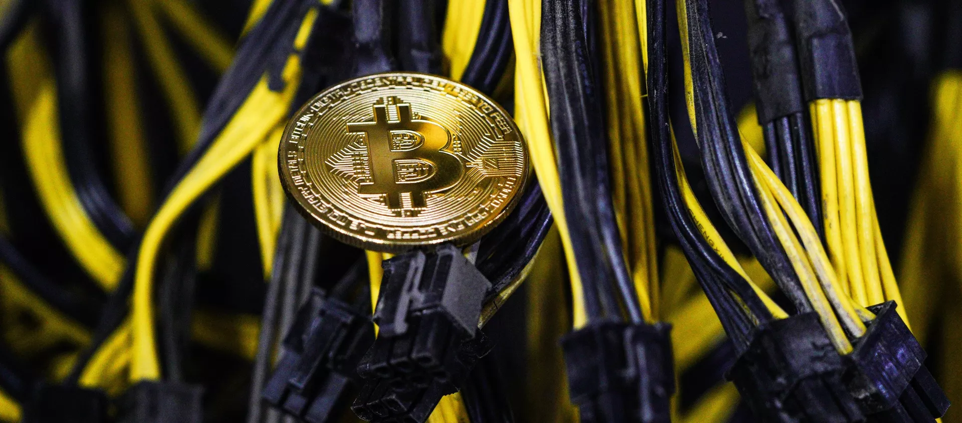 ビットコイン - Sputnik 日本, 1920, 15.01.2021