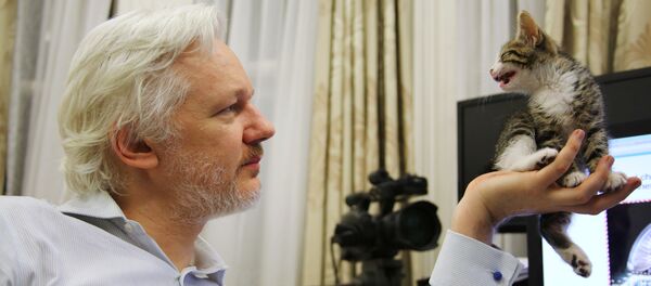 アサンジ氏、エクアドル国籍を取得 - Sputnik 日本