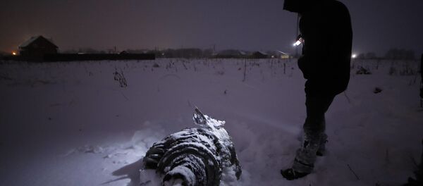 モスクワ郊外で旅客機の墜落事件　監視カメラが落下の瞬間をとらえていた【動画】 - Sputnik 日本