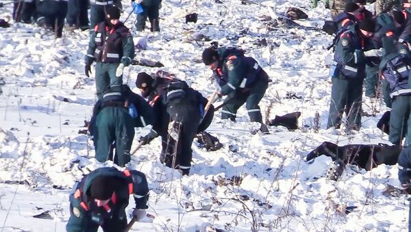 ロシア旅客機墜落　フライトレコーダー解析 - Sputnik 日本