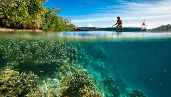 Кораллы под водой в Индонезии - Sputnik 日本