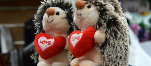 バレンタインデー用のキュートなプレゼント - Sputnik 日本