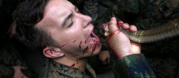 Морпех во время занятий по выживанию в джунглях в рамках военных учений «Cobra Gold 2018» в Таиланде - Sputnik 日本