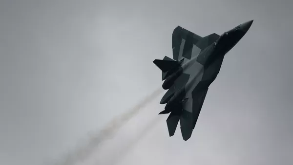 ロシアの第5世代戦闘機は「艦船の殺し屋」になる - Sputnik 日本