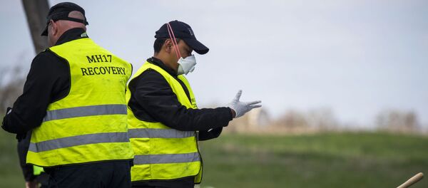 オランダ、ボーイング機墜落現場の捜査を終える - Sputnik 日本