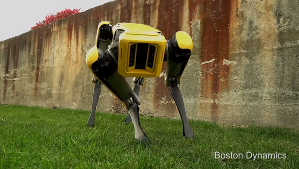 ボストン・ダイナミクス　自社ロボットに対する「いじめ」を続ける - Sputnik 日本