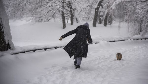 ３連休を前にモスクワは 異常な寒さ　最低マイナス２８度まで - Sputnik 日本