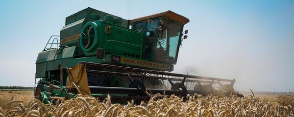 農業 農業 - Sputnik 日本