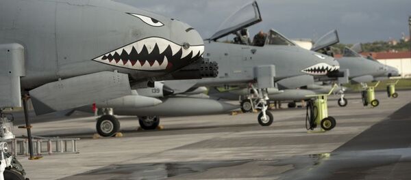 ラジェス航空基地 ラジェス航空基地 - Sputnik 日本