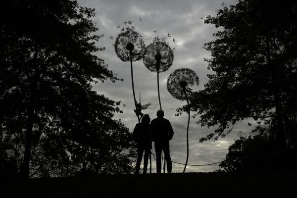 針金でできた立体芸術作品「Dandelion Sculpture」、英国 - Sputnik 日本