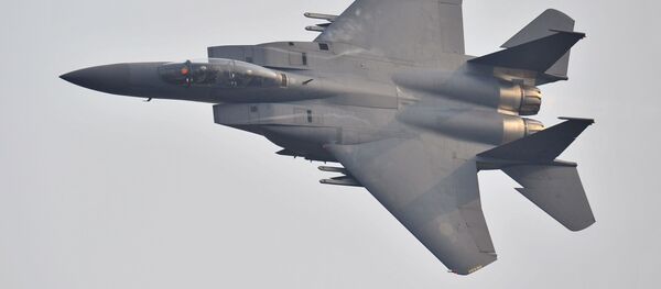 韓国の戦闘機 F-15K 韓国の戦闘機 F-15K - Sputnik 日本