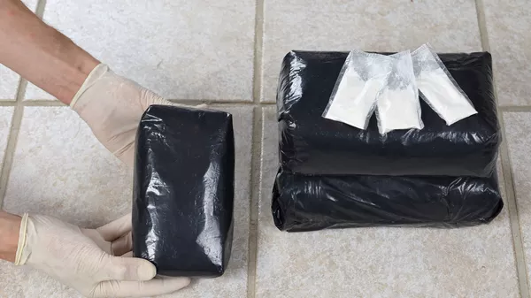 米メキシコ国境で、コカイン150キロが押収される