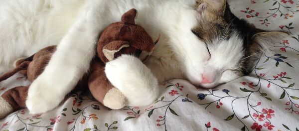 人間に必要な睡眠時間とは ロシア医師が説明 人間に必要な睡眠時間とは ロシア医師が説明 - Sputnik 日本