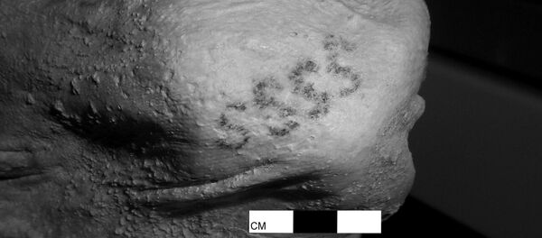 Татуировка на теле мумии возрастом в пять тысяч лет - Sputnik 日本