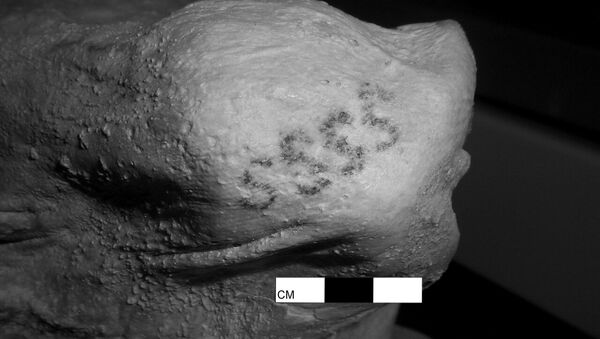 Татуировка на теле мумии возрастом в пять тысяч лет - Sputnik 日本