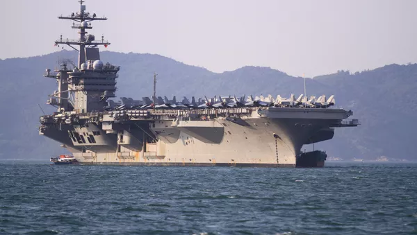 ベトナムのダナン港にいる米空母「カール・ビンソン」 - Sputnik 日本
