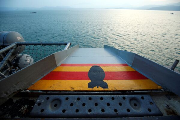 ベトナムのダナン港に滞在する米空母「カール・ビンソン」の艦上 - Sputnik 日本