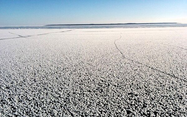 露最大級の湖の氷、一面にキノコ形の珍しい結晶 - Sputnik 日本