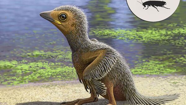 地球上最初の鳥類の雛の化石が見つかる - Sputnik 日本