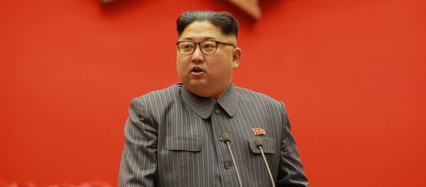 金正恩氏、米国と平和条約締結希望＝韓国メディア - Sputnik 日本