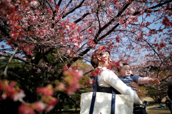 寒桜の下を子供と一緒に散歩する女性、日本の新宿御苑 - Sputnik 日本