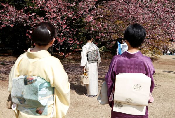 桜の中を歩く女性たち、新宿御苑 - Sputnik 日本