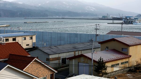 津波から守るための壁 - Sputnik 日本