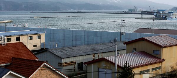 津波から守るための壁 - Sputnik 日本