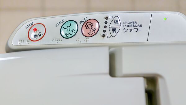 日本のトイレはハードモード　外国人の目線 - Sputnik 日本