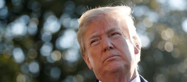 Donald Trump, el presidente de EEUU - Sputnik 日本