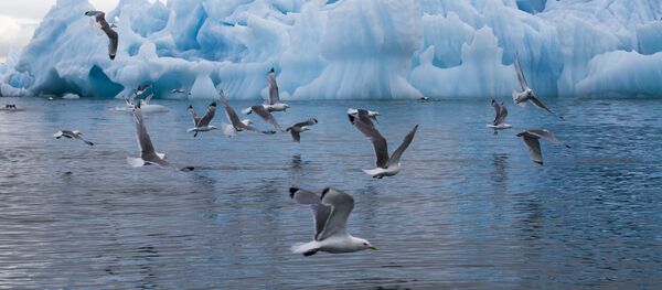 北極 - Sputnik 日本