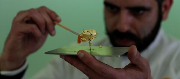 Португальский шоколатье Даниэл Гомиш представил на Международном фестивале шоколада в Португалии самую дорогую в мире шоколадную конфету - Sputnik 日本