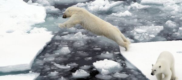 北極圏で最高気温記録 北極圏で最高気温記録 - Sputnik 日本