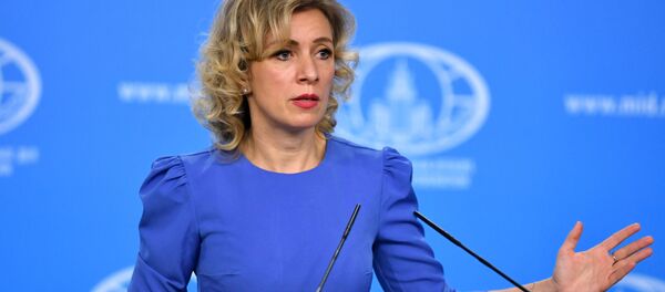 Официальный представитель министерства иностранных дел России Мария Захарова во время брифинга Официальный представитель министерства иностранных дел России Мария Захарова во время брифинга - Sputnik 日本